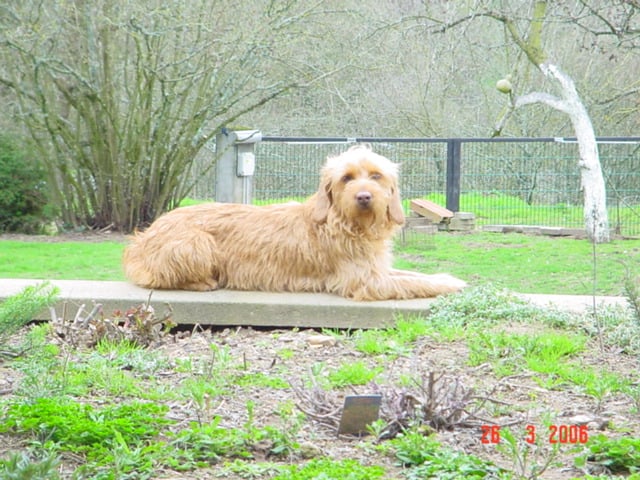 Una du gué de mortaigue