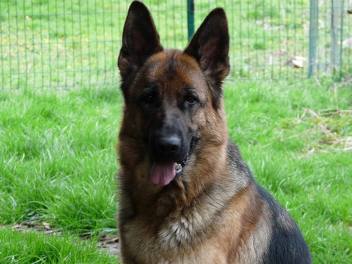 Auteur : brai elodie