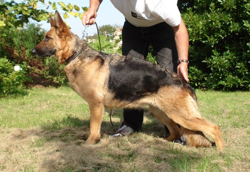 Publication : du grand ouest