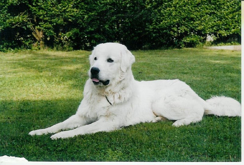 Publication : du Domaine de Jean-Vincéanne 