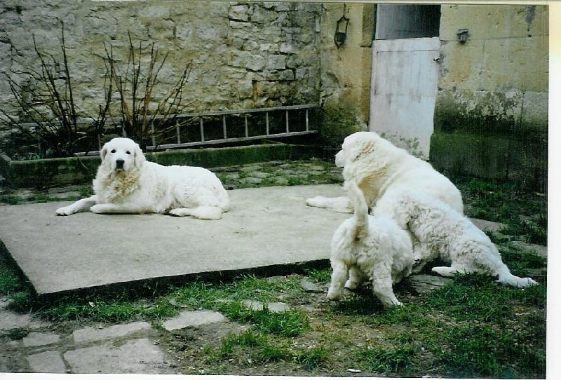 Publication : du Domaine de Jean-Vincéanne 