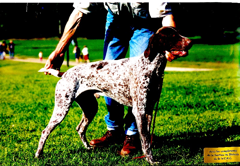 Sangon Du chant des oiseaux