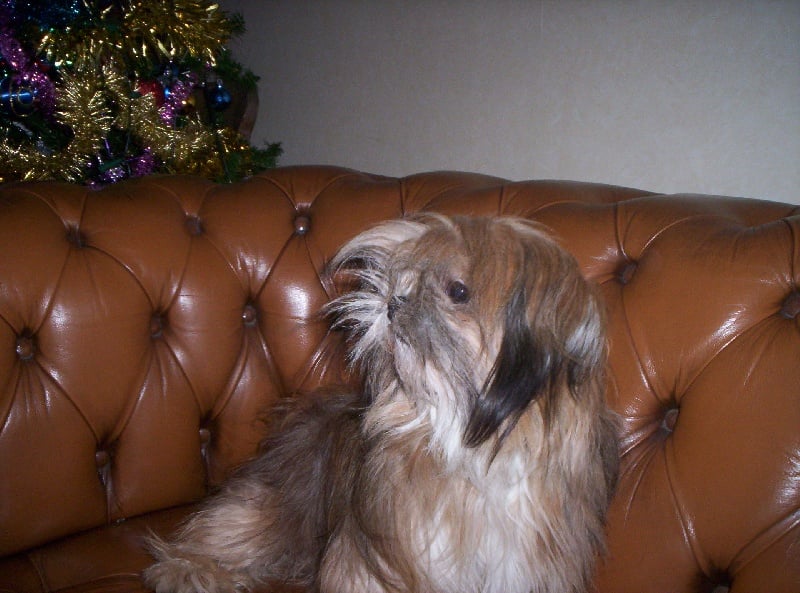 Publication : Des anges de l'olympe