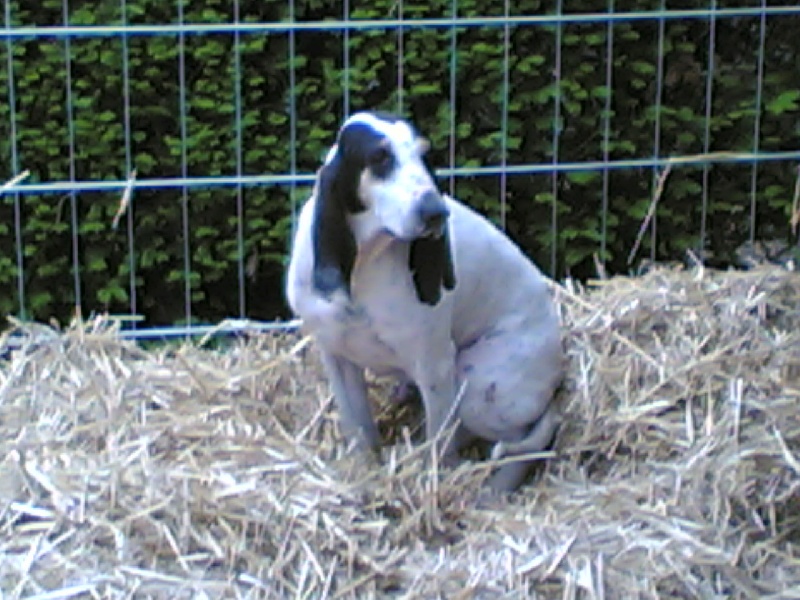 Publication : des echos balzatois