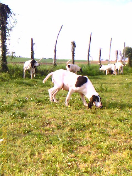 Publication : des echos balzatois 