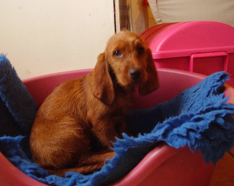 Publication : Des syltoken