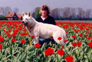 winterpalace White masterpiece