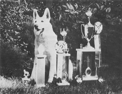 Scofield rex Von finn