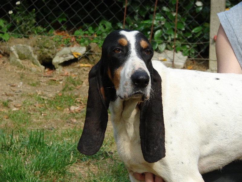 Vico dit ulysse de lourtier