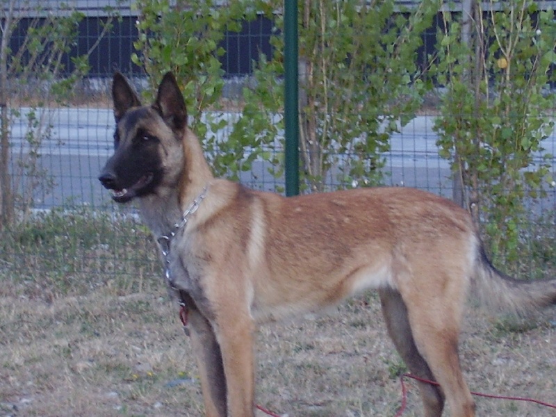 Publication : des gardiens du ventoux