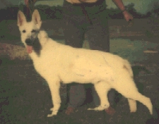 lucy's Boneca von rin