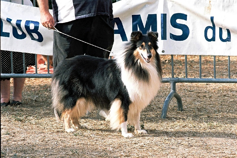 Publication : Of Connemara's Highlands