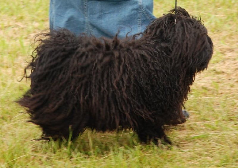 Publication : Alkea's sweet land 