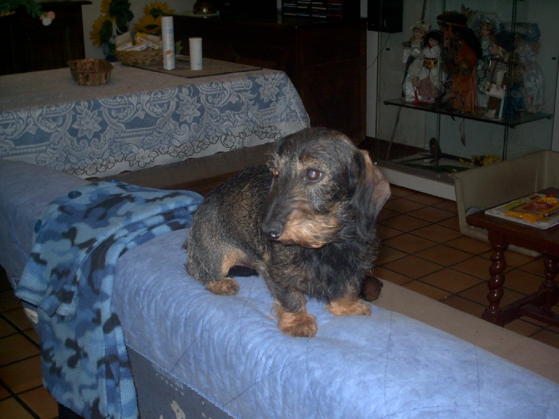 Publication : de la goutte du Chaity 