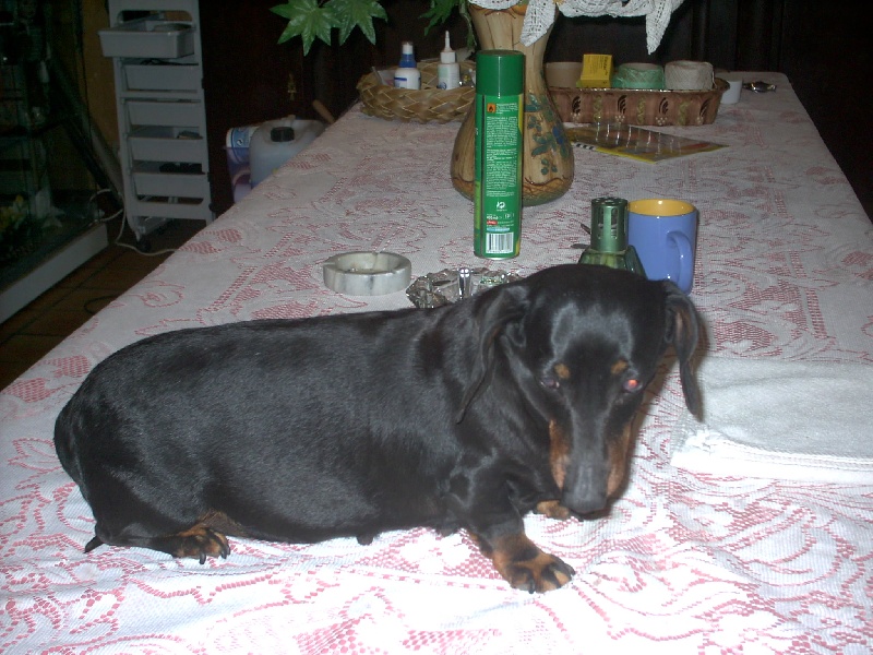 Publication : de la goutte du Chaity 