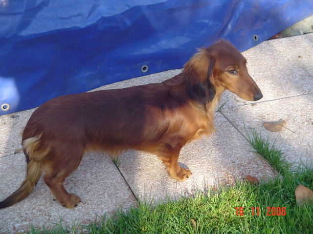 Publication : de la goutte du Chaity 