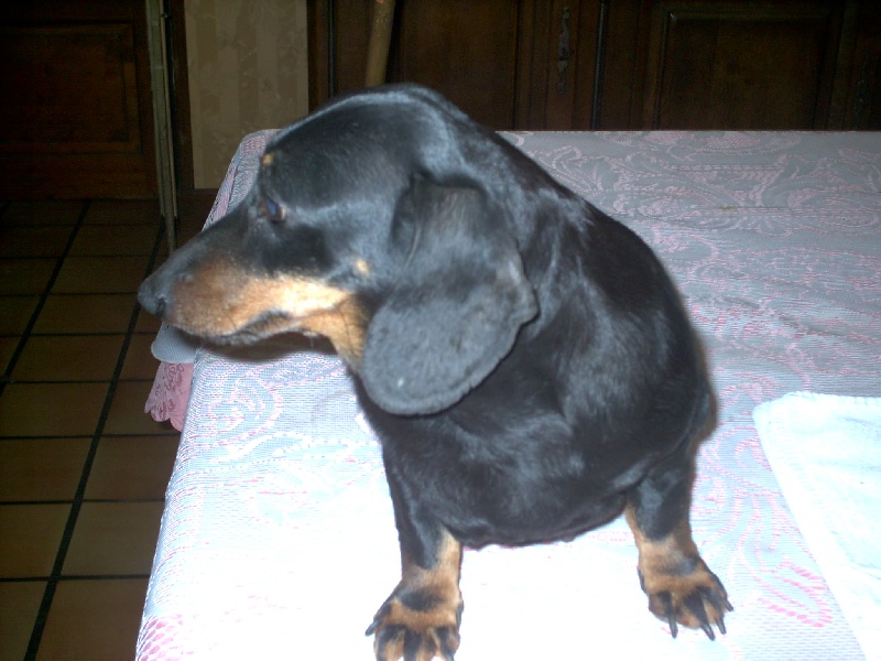 Publication : de la goutte du Chaity 