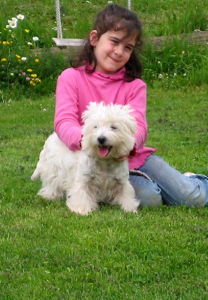 Publication : des Kopelly Auteur : Michel GRAS