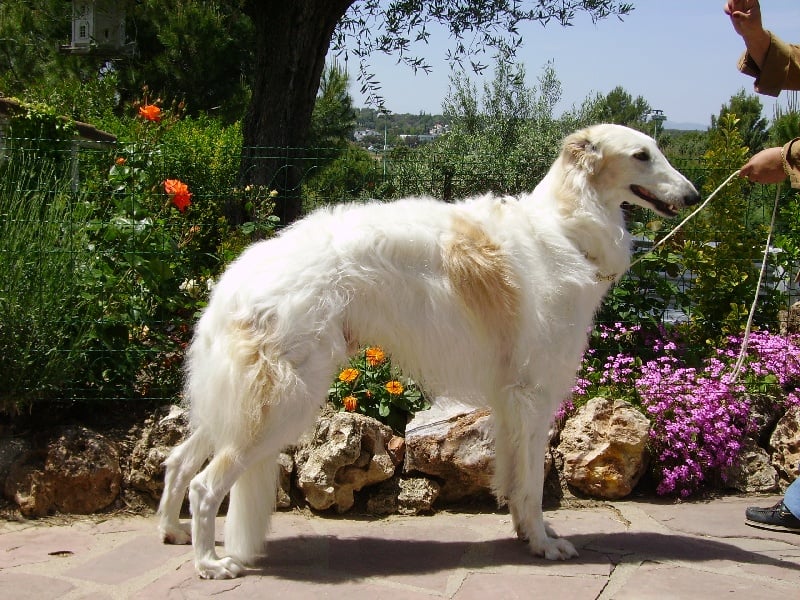 Publication : Black Diamond