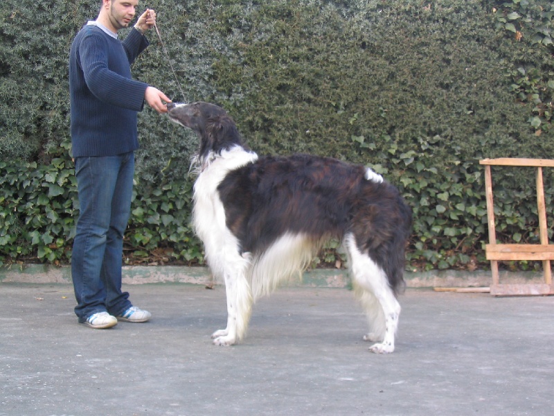 Publication : Black Diamond