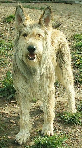 Publication : du mas de Rimbievaux 