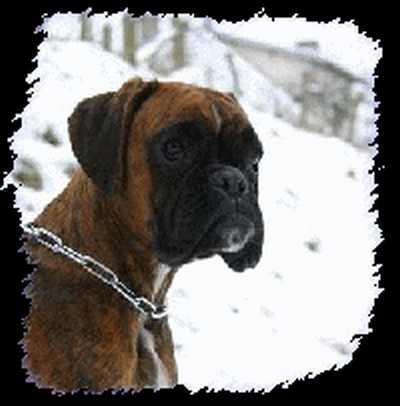 Publication : des Anges de la Vallée