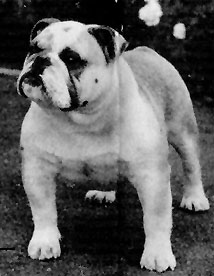 Merriveen Son of satan