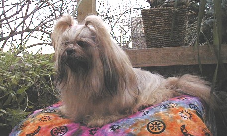 Samantha pium de l'Abbaye de Calmetie