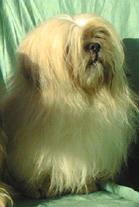 Raga de L'Espace Bleu Entre Les Nuages