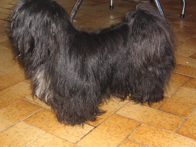 Tara dite helene De la garde adhemar