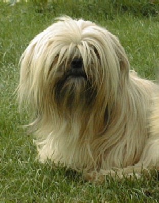 Publication : de L'Espace Bleu Entre Les Nuages