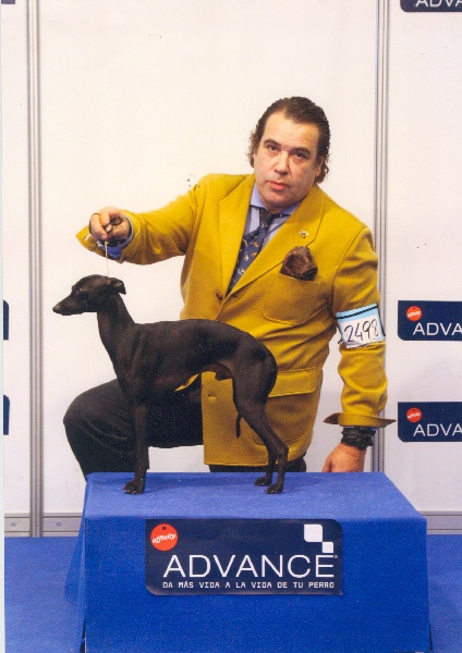 Publication : Black Diamond