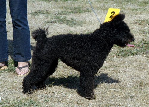 Publication : De la vallée du huyan 