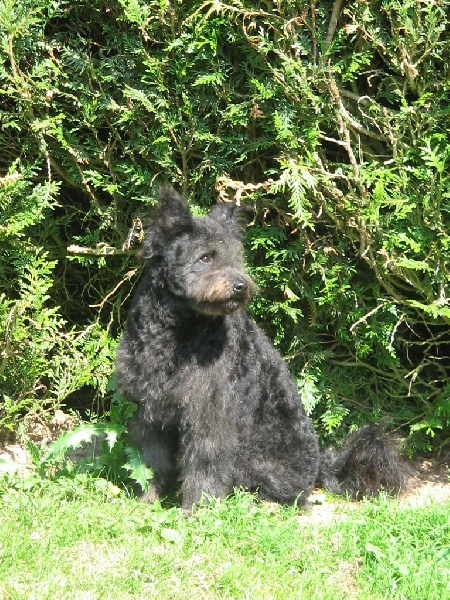 Publication : De la vallée du huyan 