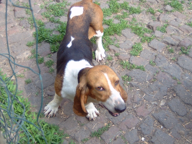 Publication : du Domaine Chirmont 