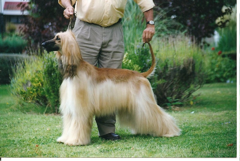 Publication : Huilaco's