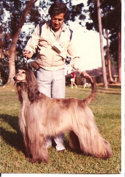 CH. sandina Socialite