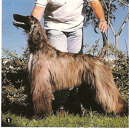 Publication : Huilaco's