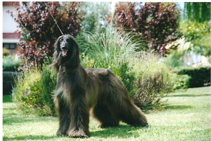 Publication : Huilaco's