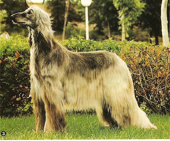 Publication : Huilaco's