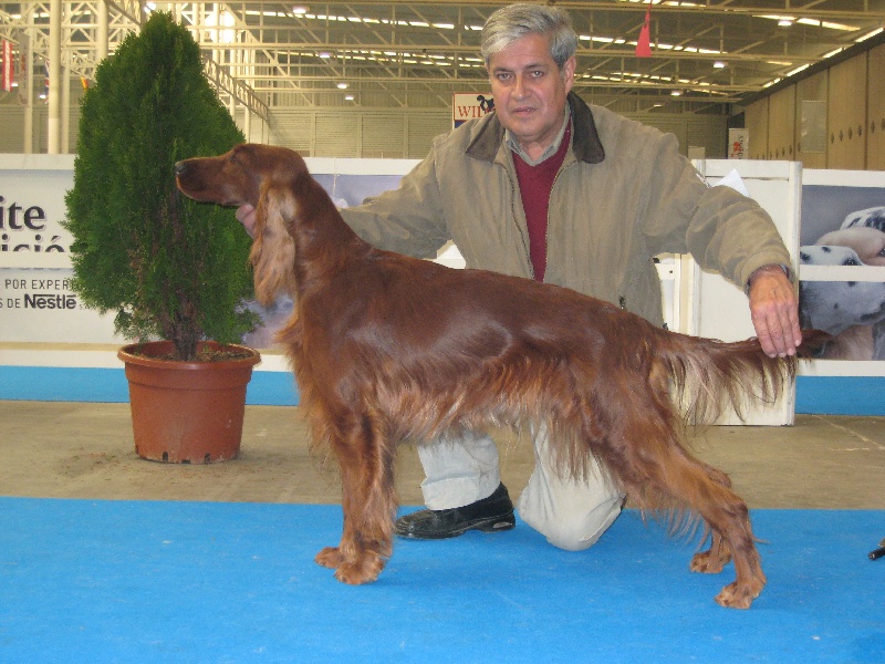 Publication : Huilaco's 