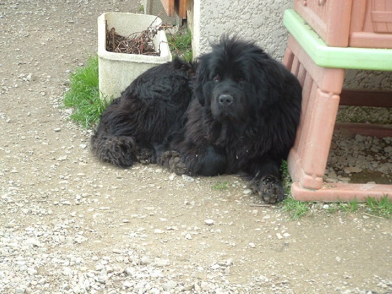 Valéra du Lac Powell