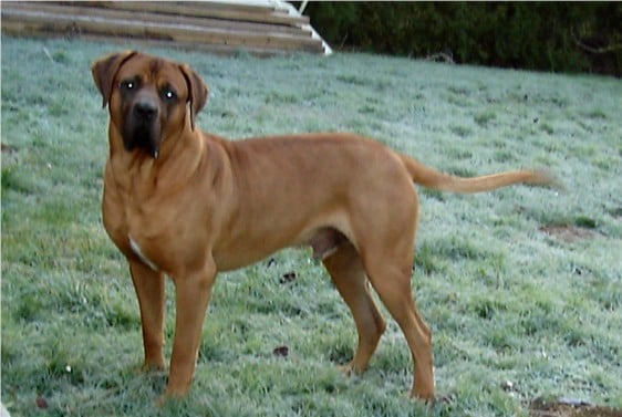 Publication : Du domaine des sylves 