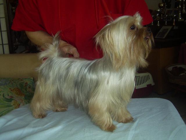 U for me of sissi forever