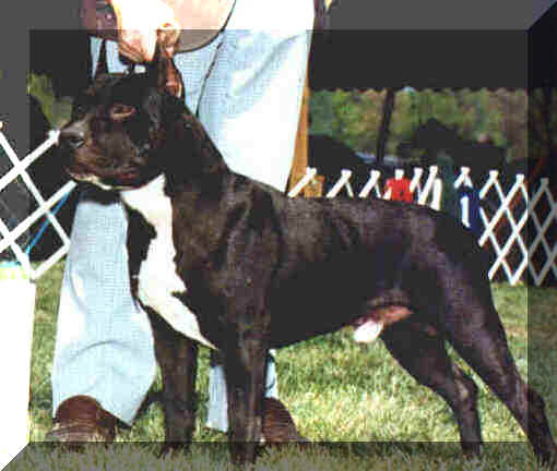 CH. Storytime's On the dark side