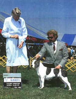 CH. stone mtn Whistling dixie