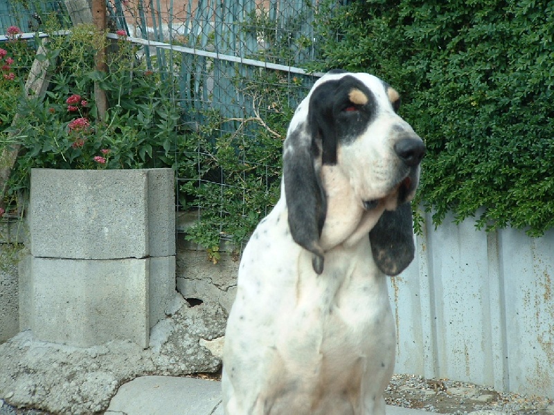 Sam de l'écho de Bure