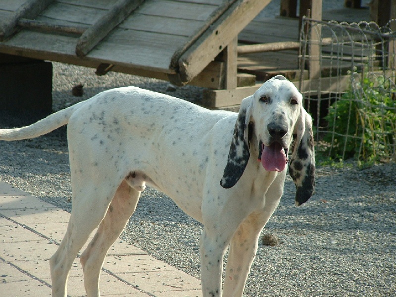 Publication : de l'écho de Bure 