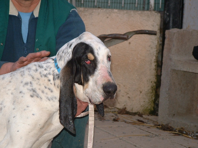 Publication : de l'écho de Bure 