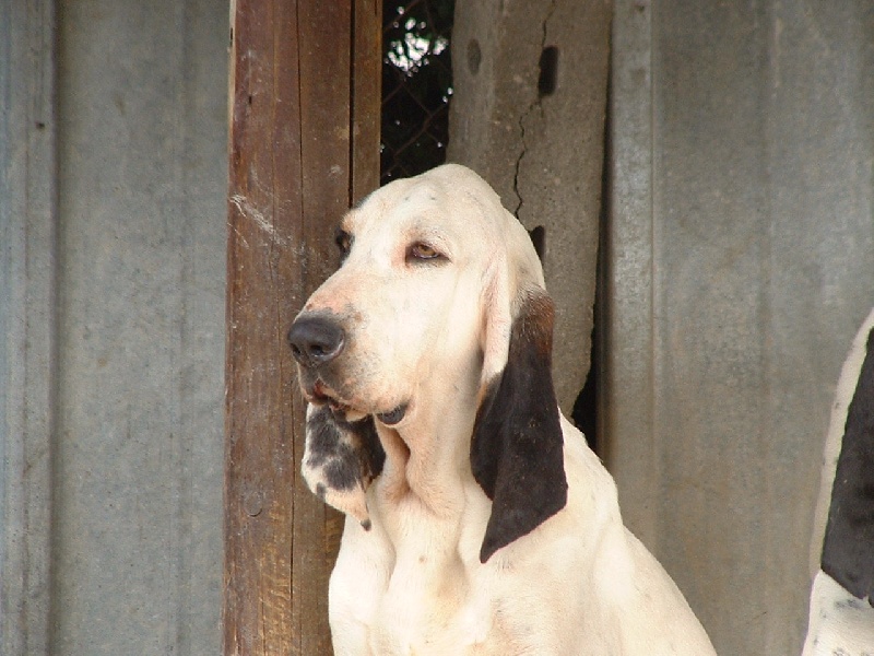 Publication : de l'écho de Bure
